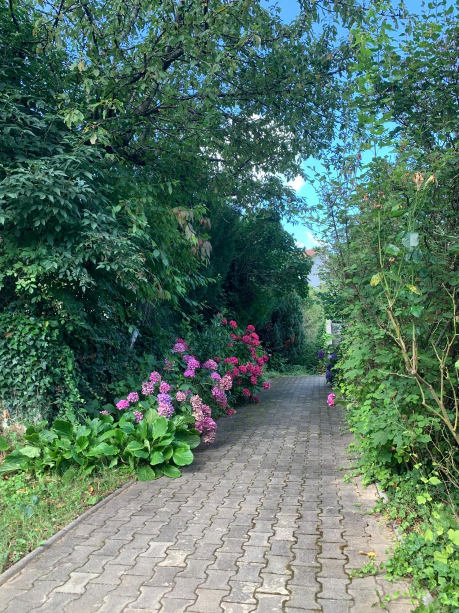 Residence Rokia Royat Eksteriør bilde